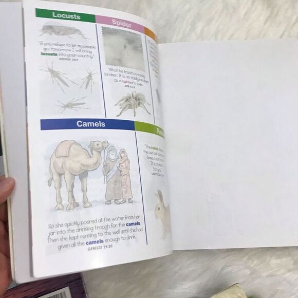 Religious Books Bible Picture Book Prayers Book Children’s - Picture 11 of 15